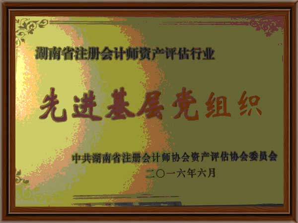 公司榮譽(yù)3 公司榮譽(yù)3