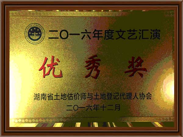 公司榮譽12