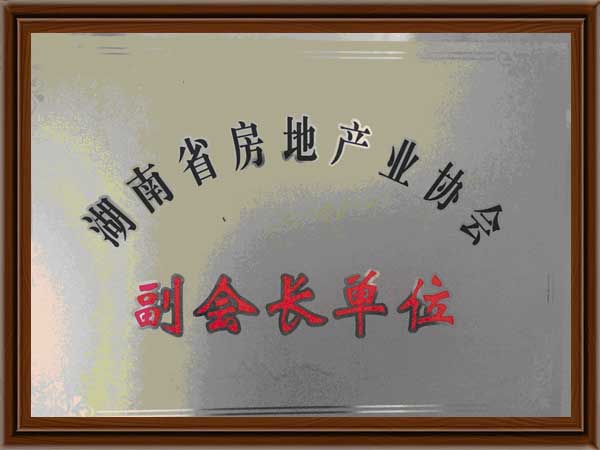 公司榮譽10