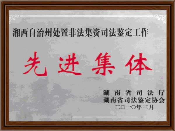 公司榮譽11