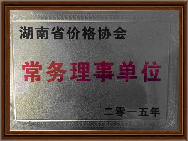 公司榮譽6