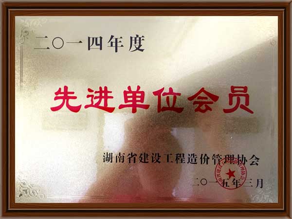 公司榮譽7