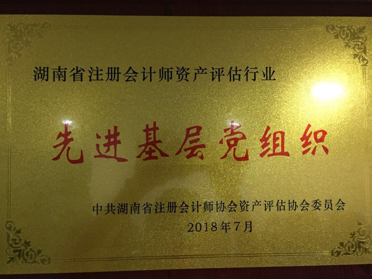 中聯(lián)資產評估集團湖南華信有限公司,長沙資產評估,長沙土地評估,長沙土地登記代理